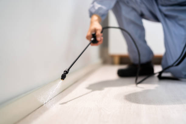 Licensed Cockroach Control service in Yorkville, IL - Nex Pest Control