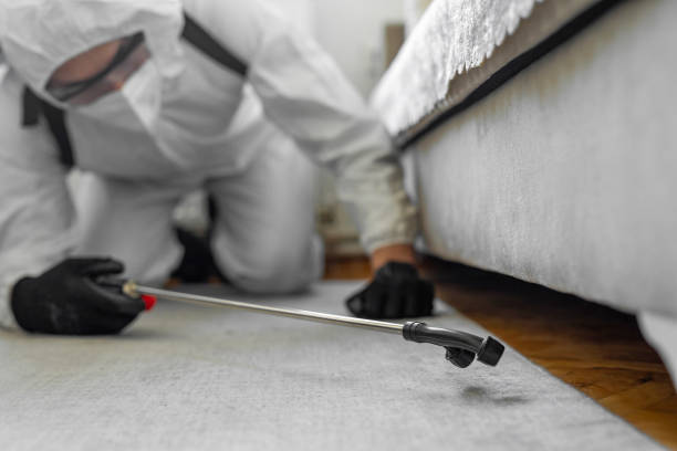 Professional Cockroach Control technician working in Yorkville, IL