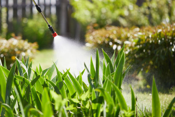 24/7 Emergency Cockroach Control experts in Yorkville, IL