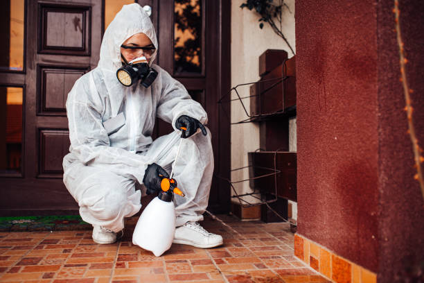 Reliable Cockroach Control contractor in Yorkville, IL by Nex Pest Control