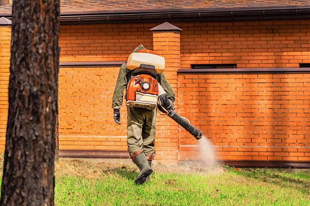 Trusted Emergency Pest Control service in Yorkville, IL - Nex Pest Control